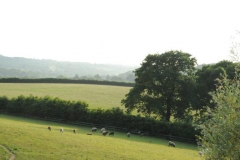 View from the twin/super king bedroom.