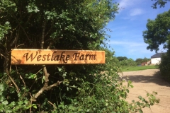 65091017_821314731603074_8433034974206099456_n